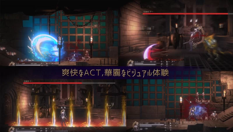 [PC/佳作/全CG/官中/战斗H/触手/异种奸/动态] 圣骑士复仇之夜 [1+1.6G][百度盘]