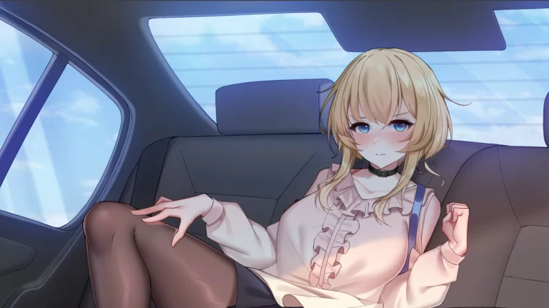 【休闲SLG/动态/官中】掉落玩偶STEAM官中+DLC扩展包 [1+300MB][百度盘]
