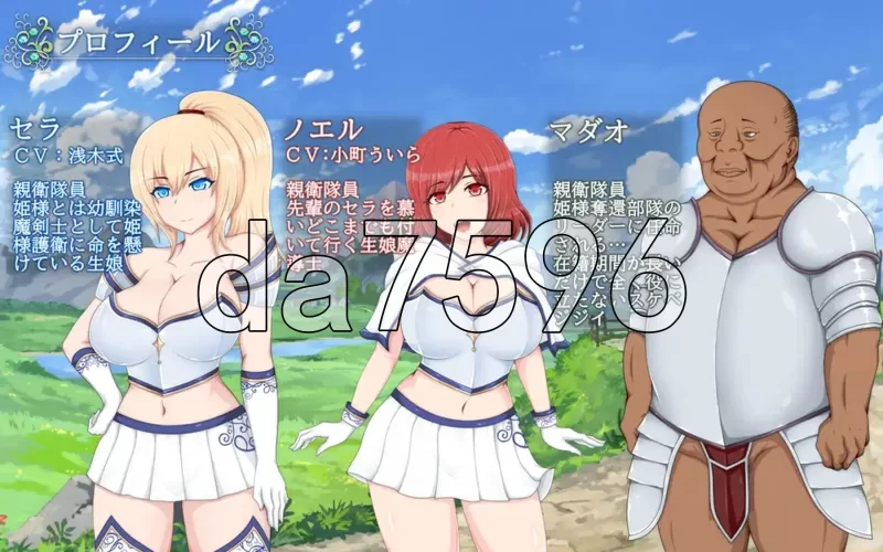 PC–塞拉&诺艾尔～被囚公主的去向～ セラ&ノエル～囚われ… [1+1.7G][百度盘]