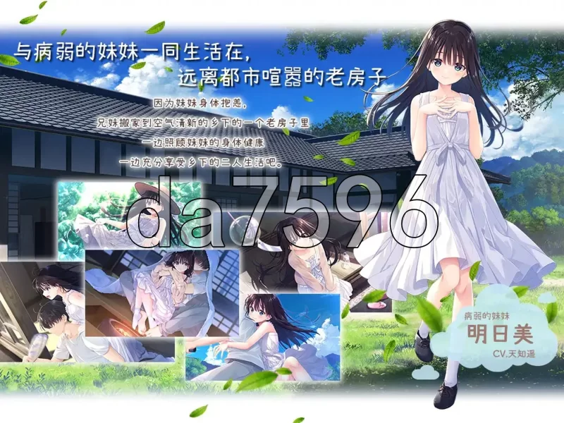 PC–痴情哥哥与病弱妹妹的乡间生活 エッチで一途なド田舎… [1+3.3G][百度盘]