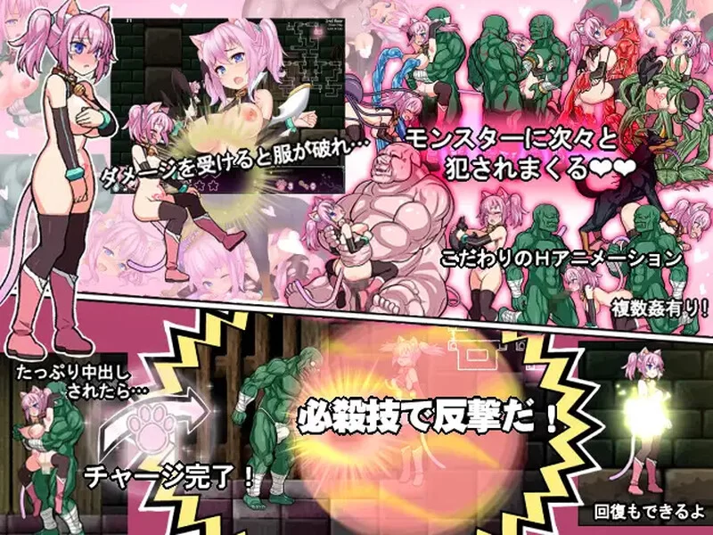 【爆款ACT/全动态/生肉】喵灵之书V5.0 原版JP [1+1G][百度盘]