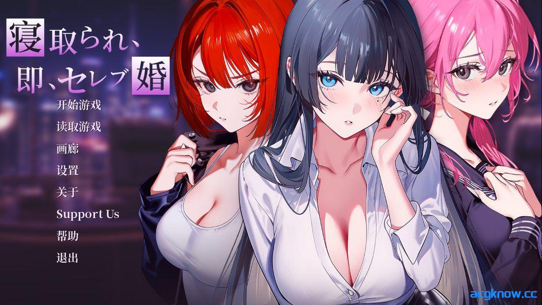 [PC+安卓] [日系SLG/官中/动态] 被劈腿后，CEO竟然逼我当晚就结婚？！官方中文版 demo [1.53G]