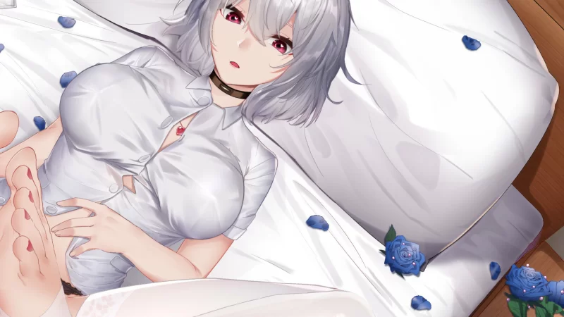 【休闲SLG/动态/官中】掉落玩偶STEAM官中+DLC扩展包 [1+300MB][百度盘]