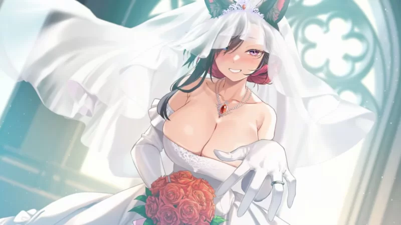 (pc)妖狐的深夜直播 [4+7.34G][百度盘]