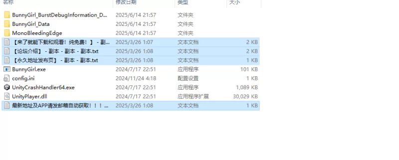 【动作ACT/像素全动态/官中】兔女郎的奇怪异星V1.03 DL官中 [1+1.40G][百度盘]