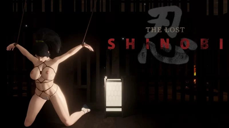 ACT/PC/官中】The Lost Shinobi/迷失的忍者 V0.1.1 [2+1.3G][百度盘]
