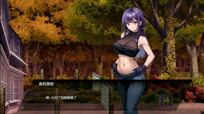 [PC-SLG] 【SLGG/动态/官中】 D-Zone V1.02 STEAM官方中文版【PC/0.13… [1+0.13G][百度盘]