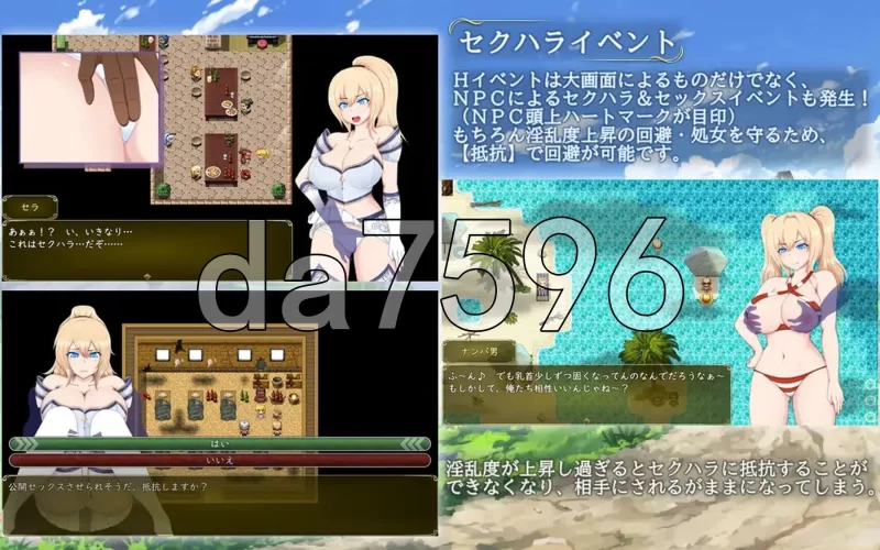 PC–塞拉&诺艾尔～被囚公主的去向～ セラ&ノエル～囚われ… [1+1.7G][百度盘]