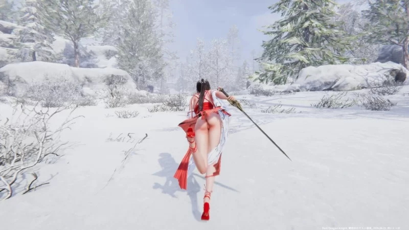 【ACT/PC/官中】Snow x Hime / 冰霜の姬/冰霜之姬 [2+4.2G][百度盘]