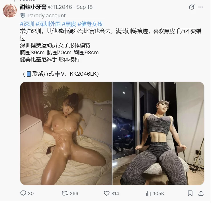 （PC）奴隷種族のエルフと女体鎧のオーガ（日文没有汉化） [3+2G][百度盘]