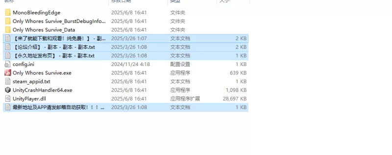 【动作FPS/俯视射击/全动态/官中】只有妓女能活下来STEAM官中 [1+1.70G][百度盘]