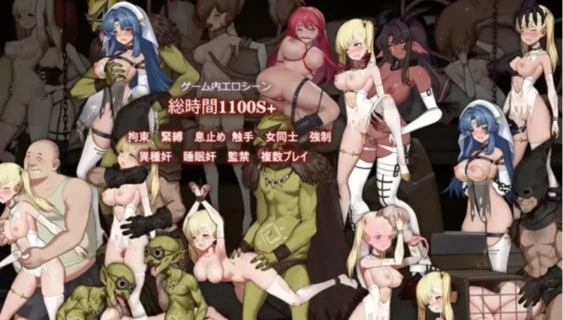【ACT/官中/PC】ニセモノ聖女の邪教討伐 [1+0.3G] [1+0.3][百度盘]