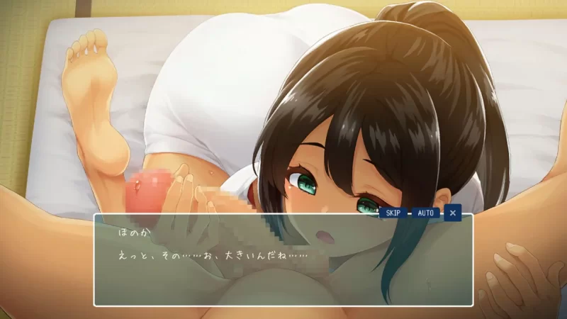 乡间性活新作[PC/神作/官中/后宫/全动态/CV]夏日的14天 附前作 [1+540M][百度盘]