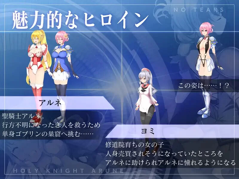 PC-ACT 战斗H/动态 圣骑士阿尔内与魔孕的咒印V1.0.7 原版生肉 [1+4.40GB][百度盘]